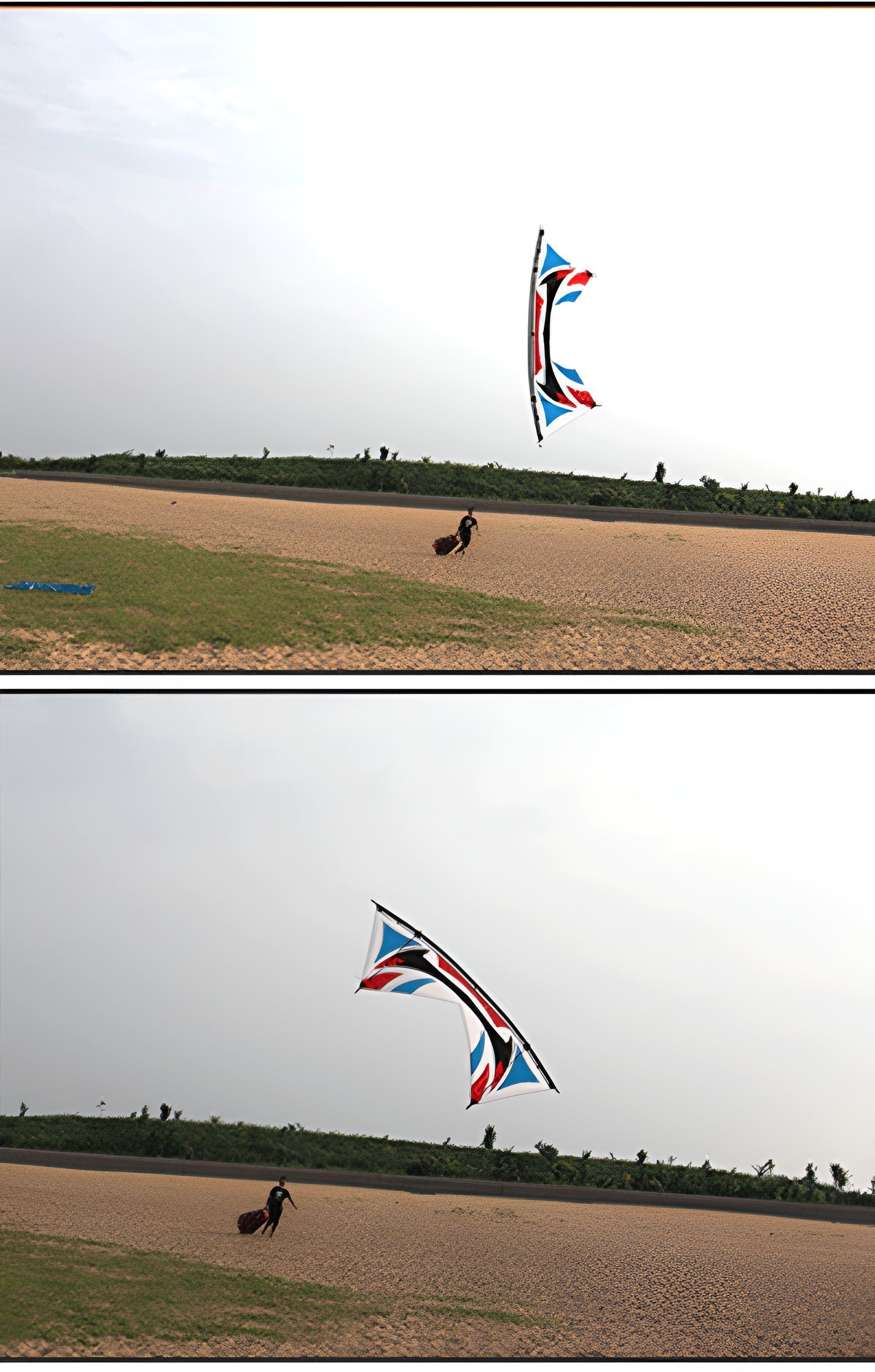 Free Shipping 240cm quad line stunt kite for adults kites reel flying fish kites line professional winds kites factory smoking