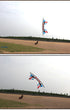 Free Shipping 240cm quad line stunt kite for adults kites reel flying fish kites line professional winds kites factory smoking