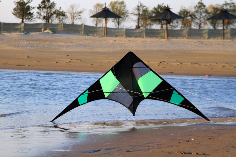free shipping Freilein kite Factory dual line stunt kite flying professional wind kites for adults reel parapent voar pipe koi