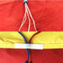 Free shipping parachute giant kites quad line power kites wasp kites paraglider kiteboard kitesurfing equipment for adults kites