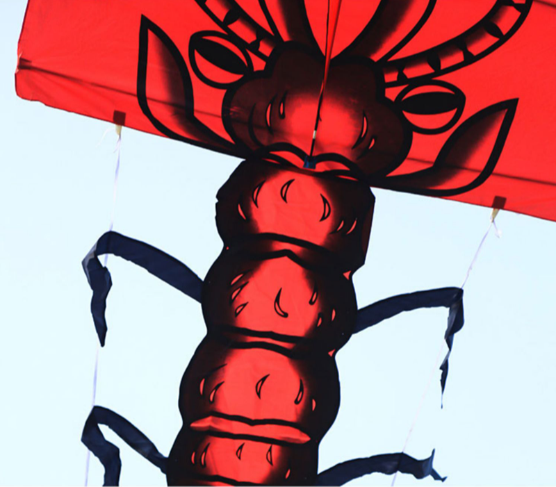 free shipping centipede kite flying adults kites factory professional wind kites line windsurfing sail flying dragon for kids