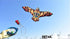 free shipping firebird kite flying children eagle kite toys nylon kites birds kites parachute indonesia line for kite paracaida