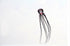 free shipping large Capricorn octopus kite for adults kites parachute nylon kite surf outdoor game toys professional kite fabric