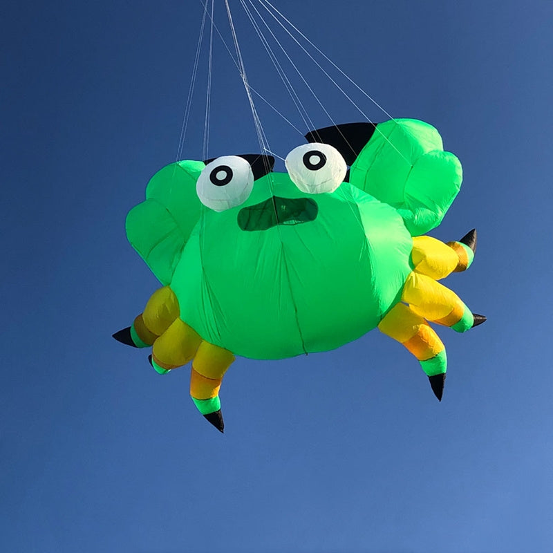 Free shipping soft kites pendant flying show kites crab kites inflatable kites factory airplane kite inflatable show kites