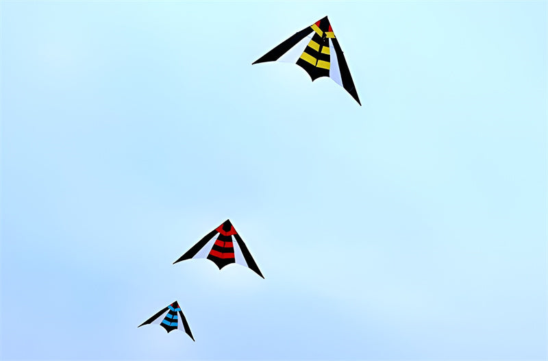 free shipping large delta kite flying nylon kite reel parachute cerf volant kevlar line eagle kiteboard kites for adults kites