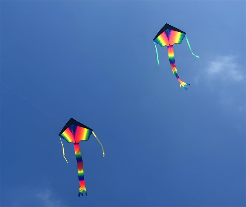 free shipping rainbow delta kites for children kites for kids reel ripstop nylon fabric kite butterfly kite windsurf parachute