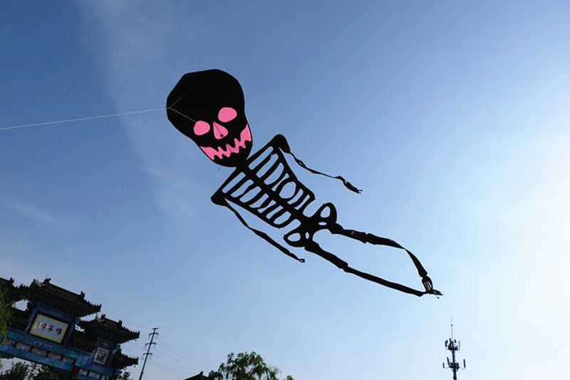Free Shipping Skull kites flying 3d kites for adults inflatable games kite air kites for professional wind power plane kite