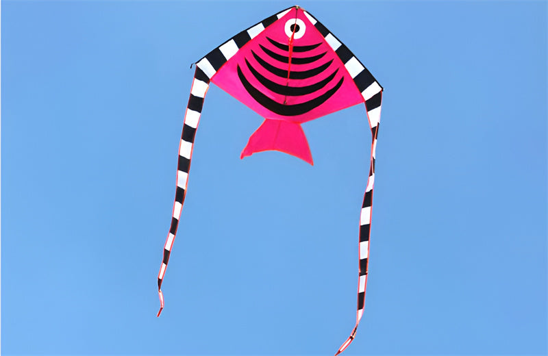free shipping fish kite flying outdoor game toys for kids ripstop nylon kite fabric children kite for adults kite bird eagle fly