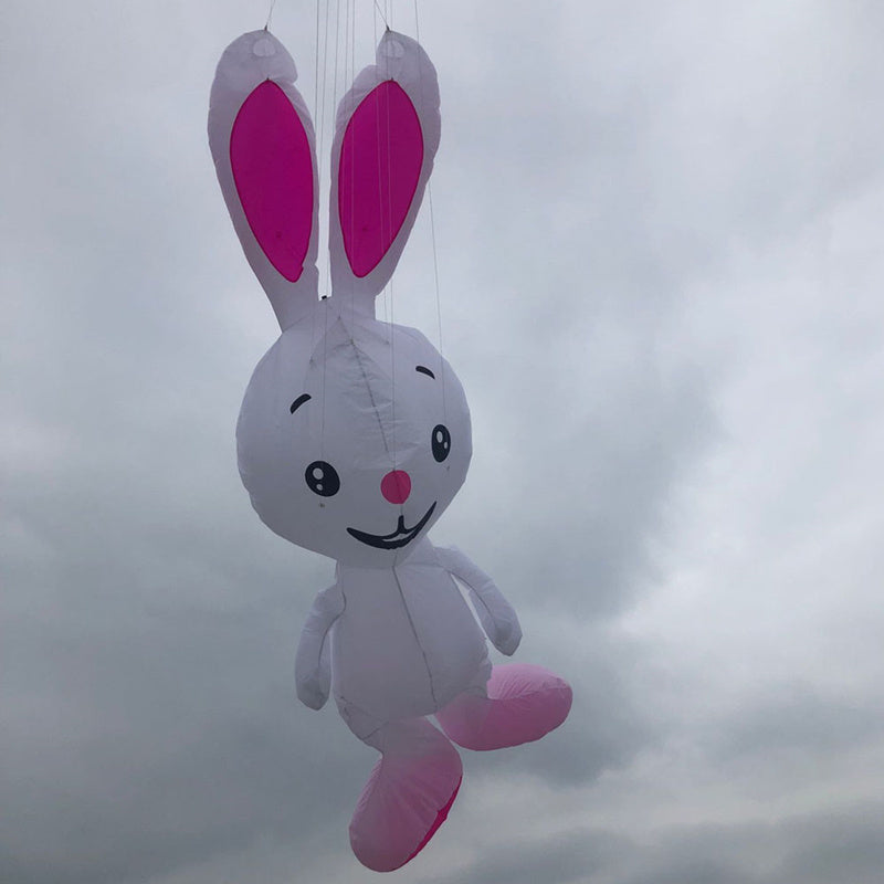 free shipping rabbit kites flying for adults kites pendant professional wind kites line giant kites factory inflatable kites koi