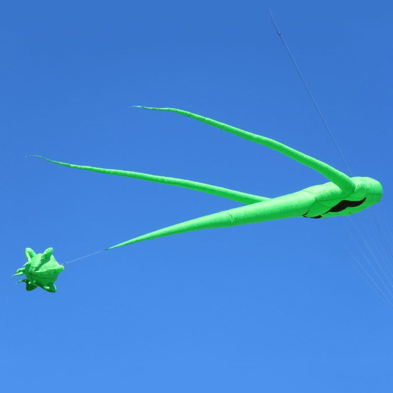 Free Shipping 10m Alien Kite Line Laundry Pendant Soft Inflatable Show Kite for Kite Festival Best 30D Ripstop Nylon Fabric with Bag