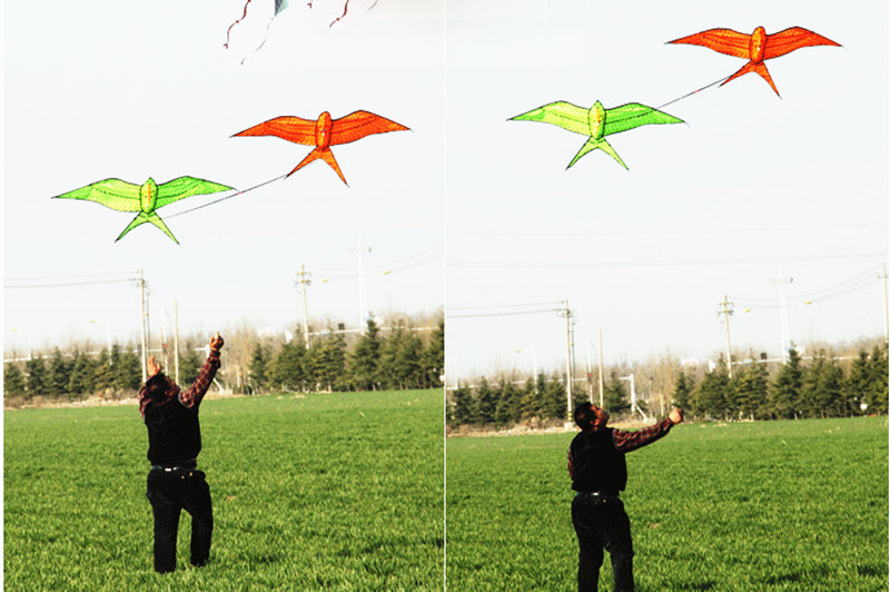 free shipping 2pcs/lot pole swallow kite flying traditional kites for adults kite line dragon kite factory ikite air snakes kite