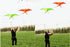 free shipping 2pcs/lot pole swallow kite flying traditional kites for adults kite line dragon kite factory ikite air snakes kite