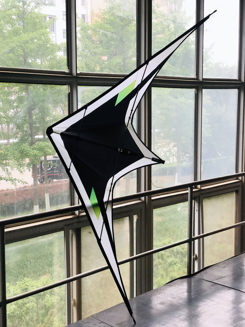 free shipping Black Feather 240cm dual line stunt kite Freilein kite factory outdoor koi paraglider professional wind kites