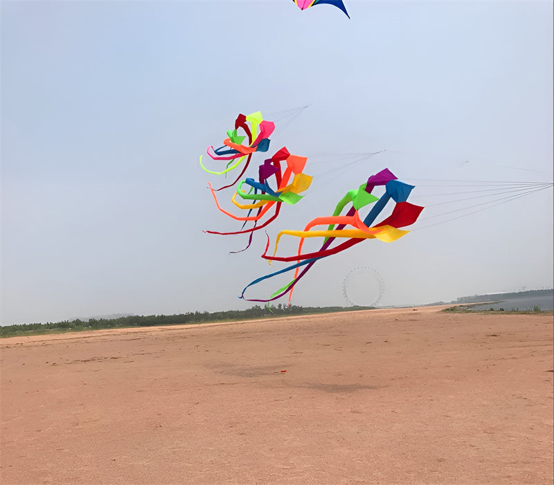 free shipping high quality 6m rainbow windsock kite flying large kites adult kite reel ripstop nylon kite wind kites bat kites