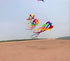 free shipping high quality 6m rainbow windsock kite flying large kites adult kite reel ripstop nylon kite wind kites bat kites