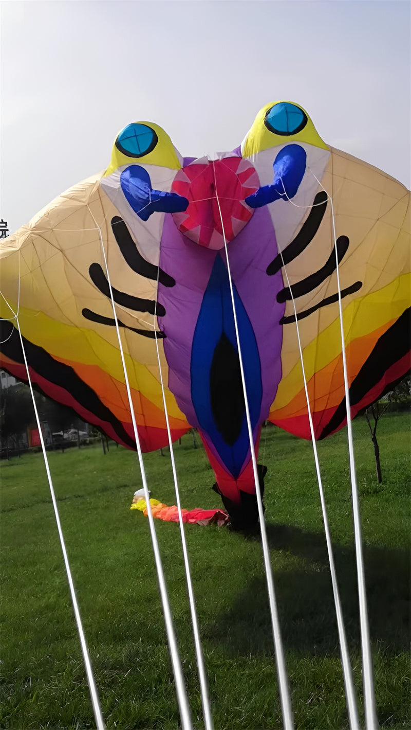 free shipping large kite flying 15m ray fish kite for adults kite devil fish folding kite buggy flynova pro snake kite winder