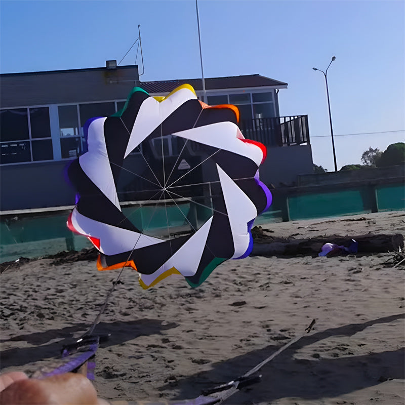 Free Shipping 2m Snake Spinning Windsock Ring Kite Line Laundry Inflatable Show Kite for Kite Festival Best 30D Ripstop Nylon with Bag