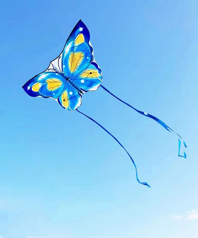 free shipping butterfly kites flying for kids kites nylon kites factory professional winds kites recreational reel flying fairy