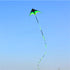 free shipping large delta kite toys outdoor fun flying kites for adults kite reel weifang kite factory eagle kites line ikite