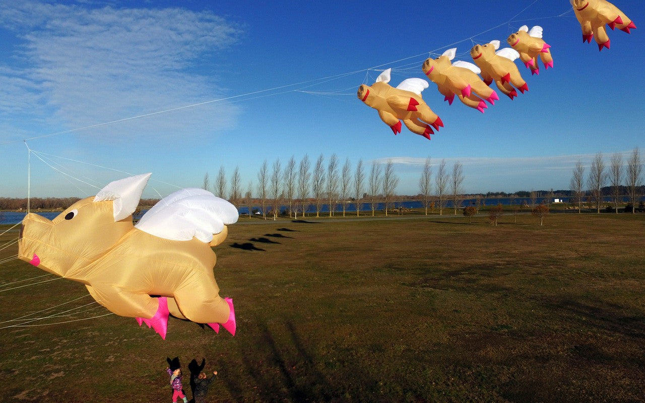Free Shipping 3m Pig Kite Line Laundry Pendant Soft Inflatable Show Kite for Kite Festival 30D Ripstop Nylon with Bag