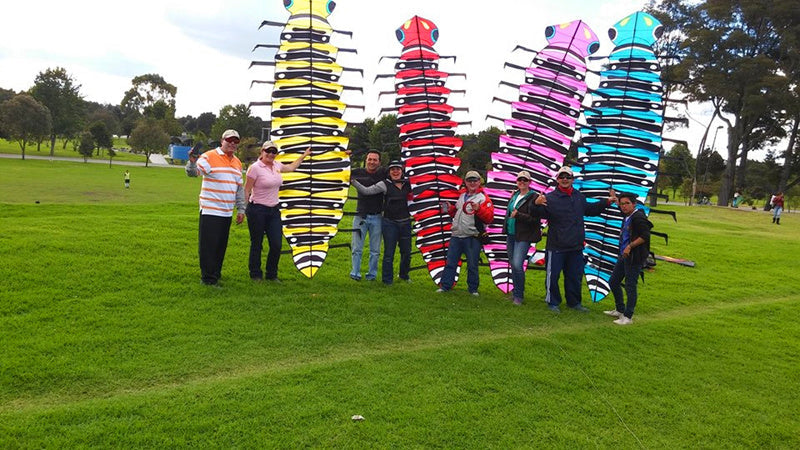 free shipping centipede kite flying for adults kites toys kite surf professional kites parachute weifang kite factory ikite koi