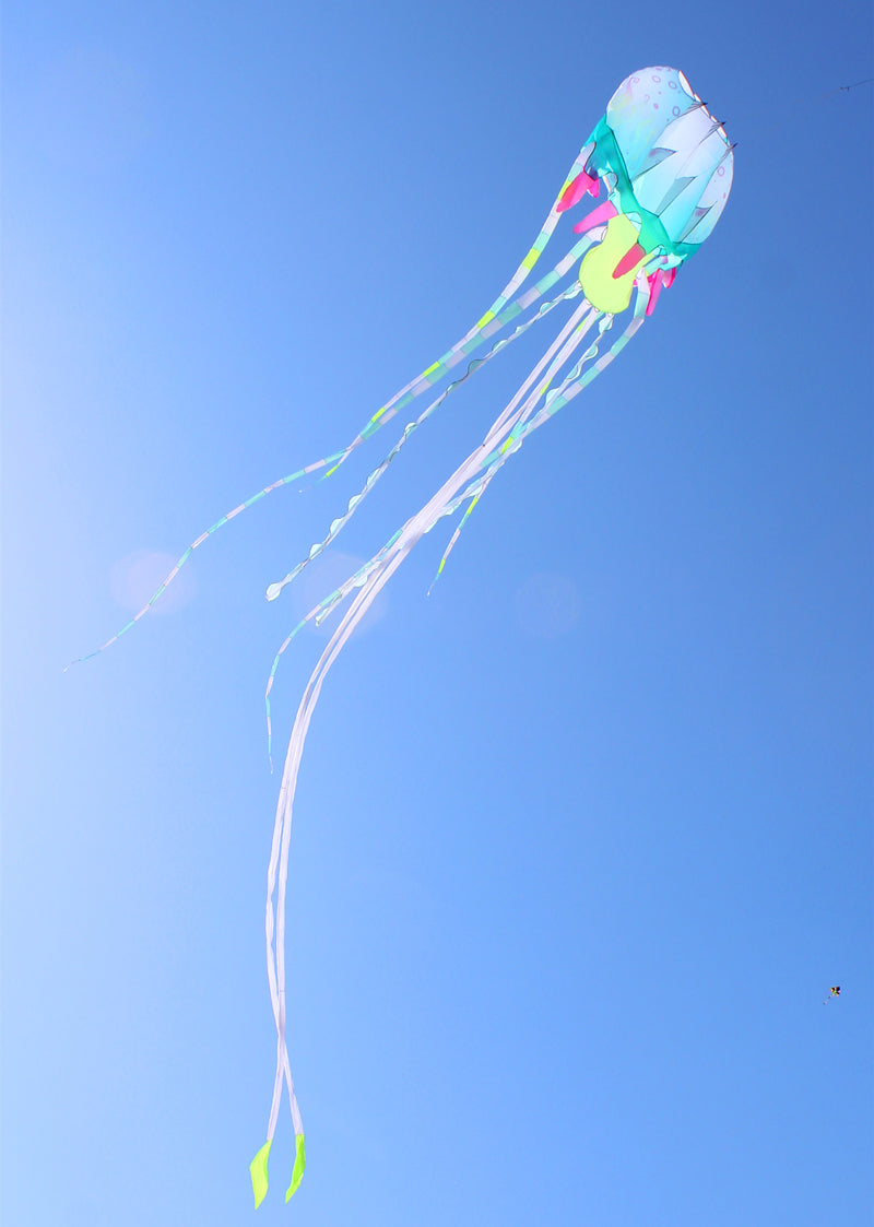 free shipping 18m jellyfish kite flying inflatable kite windsocks huge kite wheel for adults outdoor game trilobites kites pipa