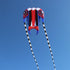 Free Shipping 7㎡~16㎡ Trilobite Kite Large Single Line Parafoil Kite Line Laundry Soft Inflatable Kite 30D Ripstop Nylon with Bag