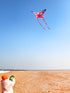 free shipping butterfly kites flying for kids kites nylon kites factory professional winds kites recreational reel flying fairy