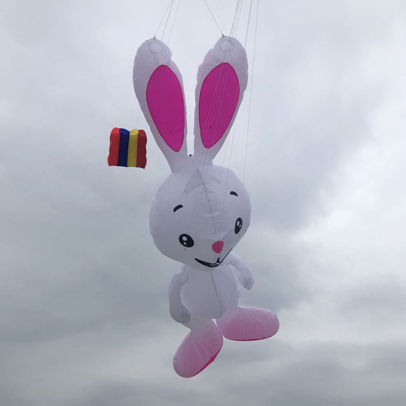 free shipping rabbit kites flying for adults kites pendant professional wind kites line giant kites factory inflatable kites koi
