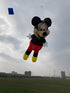 free shipping Soft Inflatable Mouse Kite Pendant High Quality Cartoon Animal Kite Line Laundry