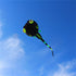 free shipping black tadpole kites flying soft kite nylon fabric kites for adults kite factory cerf volant outdoor fun toys ruota