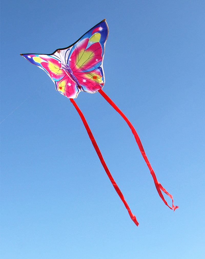 free shipping butterfly kites flying for kids kites nylon kites factory professional winds kites recreational reel flying fairy