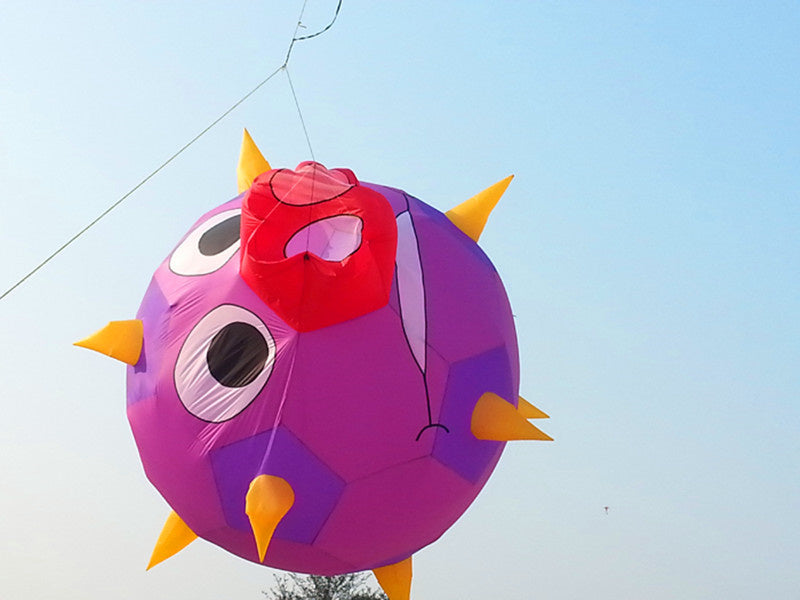 free shipping large leaves kite flying outdoor soft kite nylon fabric pendant windsock kite factory watermelon kite adults kites