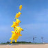 free shipping giant soft kite pendant show kites windsocks weifang kite reel albatross kites factory octopus kites walk in sky