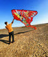 free shipping 100m chinese dragon kite flying handle line large kite snake kites for kids cometas paragliding windsurf