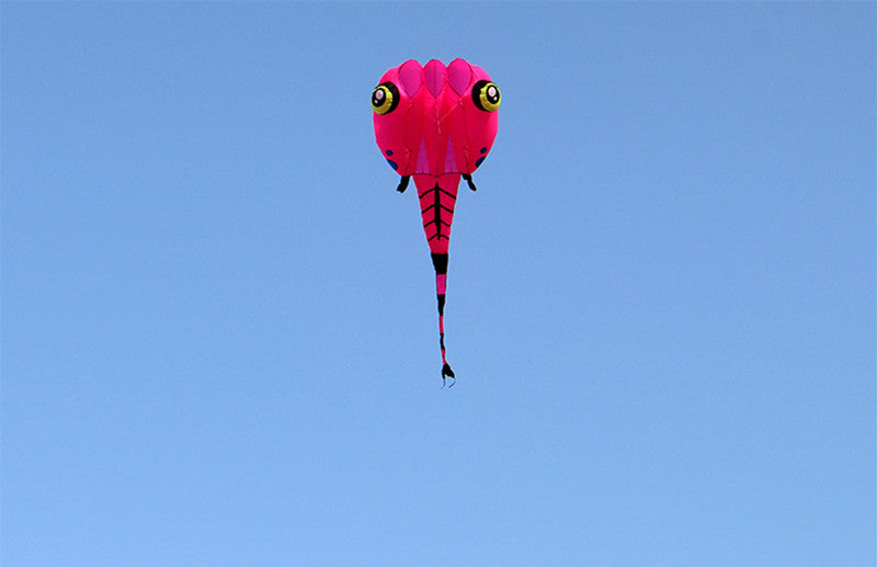 free shipping tadpole kite flying big soft kites fabric adults kites toy animal kite professional kite octopus factory parachute