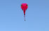 free shipping tadpole kite flying big soft kites fabric adults kites toy animal kite professional kite octopus factory parachute