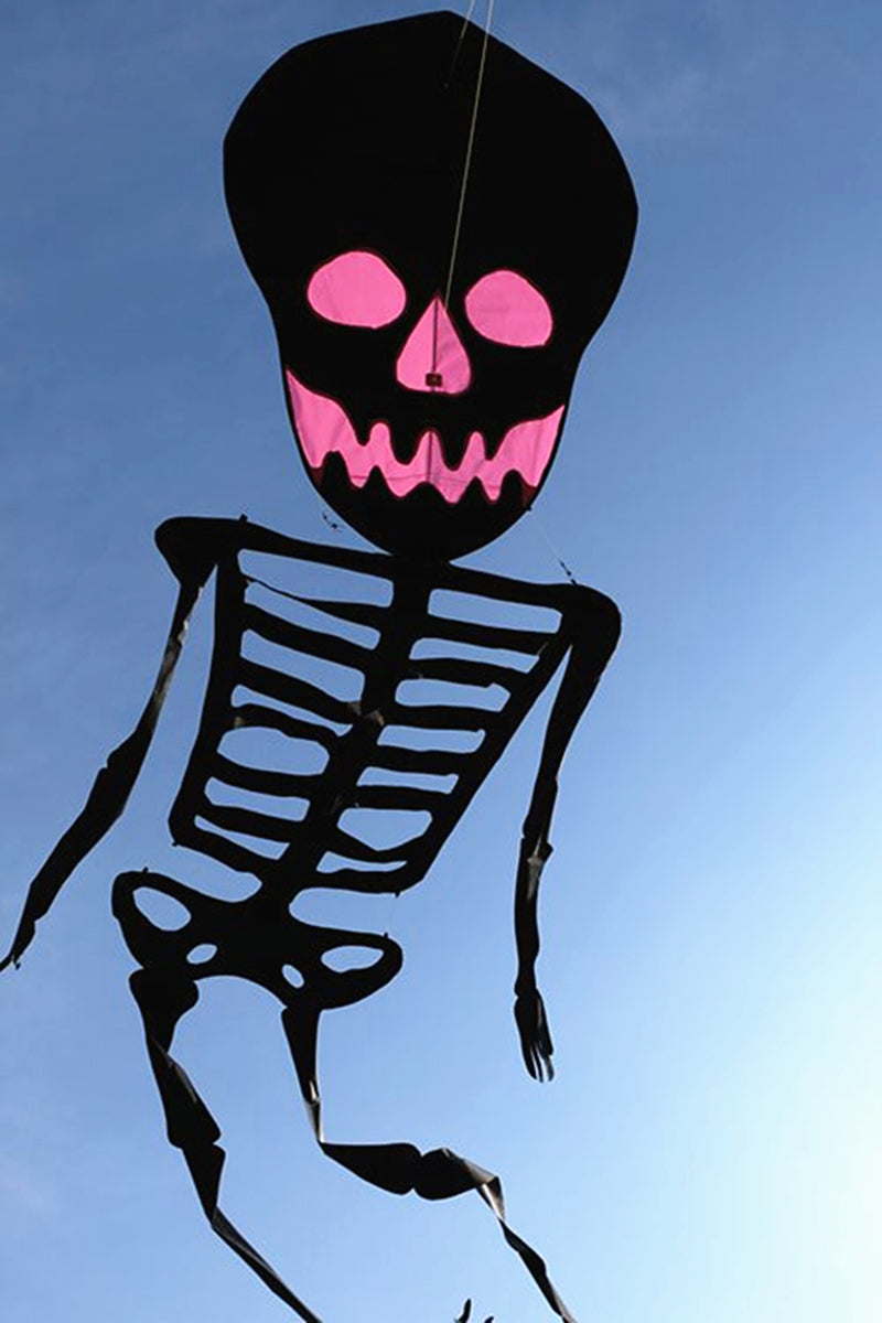 Free Shipping Skull kites flying 3d kites for adults inflatable games kite air kites for professional wind power plane kite