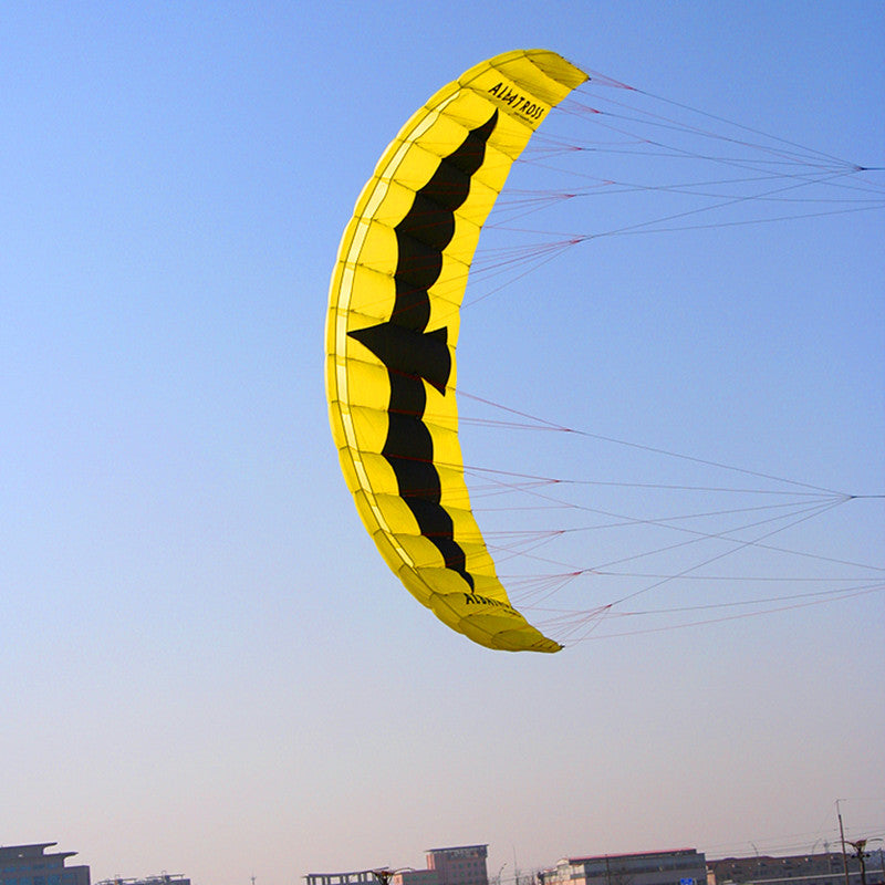 free shipping 5sqm large quad line power kite for adults kite parafoil board kite surfing cometa parachute cometas infantiles