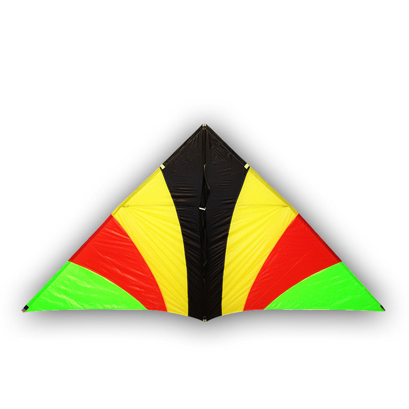 Diy Kite real parachute delta kite breeze kite for adults kites kevlar line paraglider ripstop nylon kites factory ikite