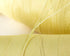 free shipping plying kevlar line for adults kites string twine line flying children kites windsocks parafoil kites factory ikite