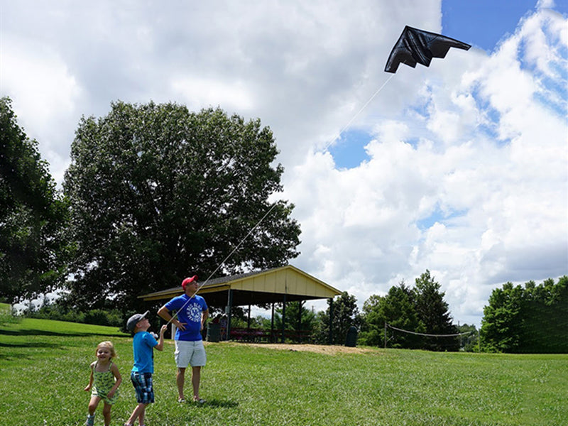 Free Shipping Plane kites flying for children kites line professional kite Butterfly wings outdoor game kids kite surfing flies