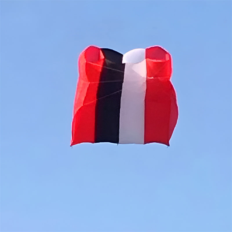 Free Shipping Large Kites flying 24sqm pilot kites flying octopus kites 12 sqm kites winds professional kites for kids outdoor