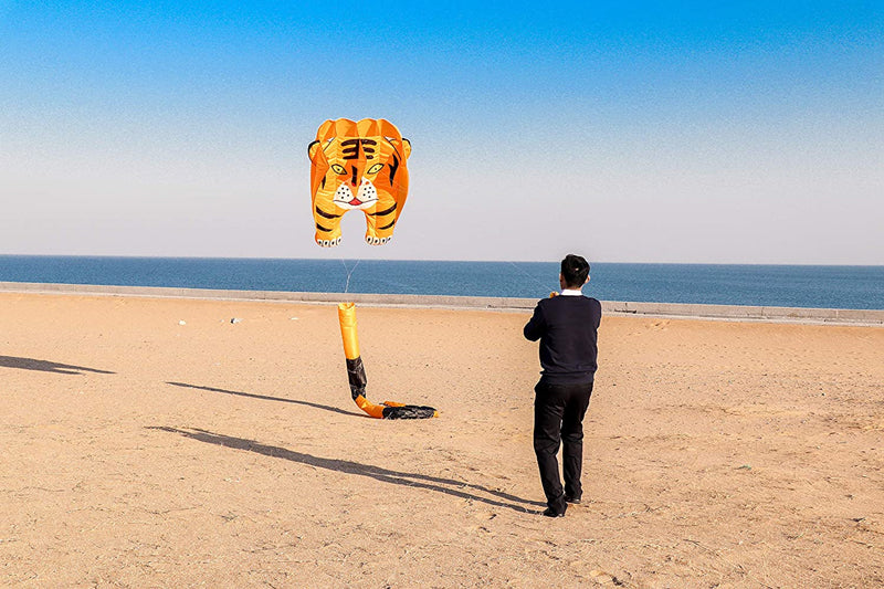 free shipping large pilot kite flying inflatable kite for adults professional kites windsocks kiteboard parachute traction kite