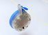 free shipping 10p/lot led lamp led kite factory colors light shinning in the sky outdoor toys beach sport kite present foil new