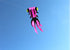 free shipping fish kite flying for adults kites goldfish kite sport professional kites large inflatable kite surf cerf parachute