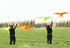 free shipping 2pcs/lot pole swallow kite flying traditional kites for adults kite line dragon kite factory ikite air snakes kite