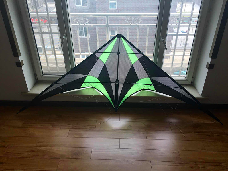 free shipping Freilein kite Factory dual line stunt kite flying professional wind kites for adults reel parapent voar pipe koi