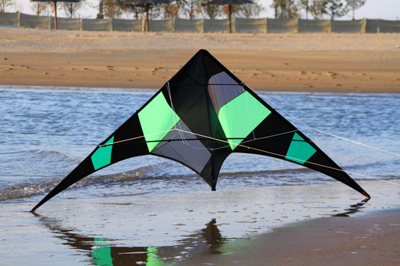 free shipping Freilein kite Factory dual line stunt kite flying professional wind kites for adults reel parapent voar pipe koi