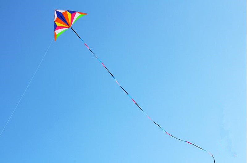 free shipping large fox kites for adults delta kite flying outdoor sports kites ripstop nylon fabric parachute kite lightweight